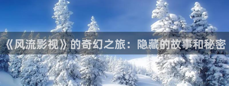 《風流影視》的奇幻之旅：隱藏的故事和秘密